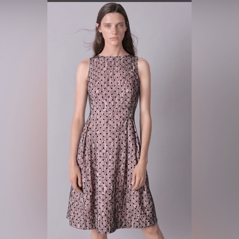Celebrate Lace with this beautiful Jason Wu Dress